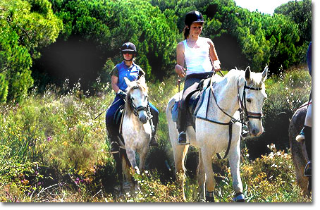 Tailor made Algarve 